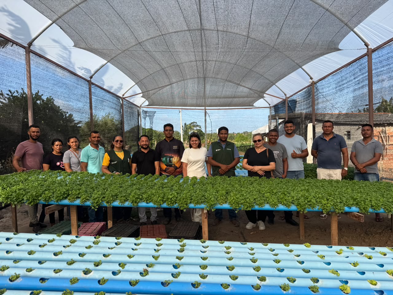 Prefeitura promove curso de hidroponia para fortalecer a produção rural em Raposa